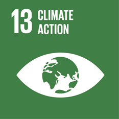 SDG 13