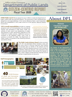 2020 DPL Citizen Centric Report cover art