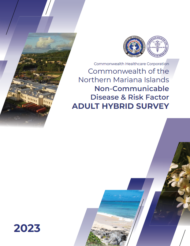 2021 CHCC Citizen Centric Report cover art