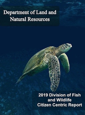 2019 DLNR-DFW Citizen Centric Report